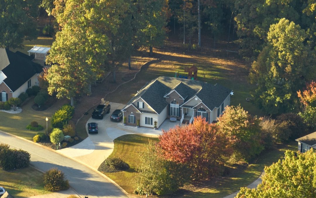 How Tree Coverage Affects Roof Life in Pittsburgh Neighborhoods