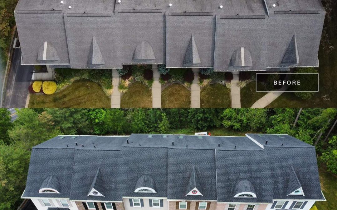 What HOA Boards Should Look for in a Roofing Partner